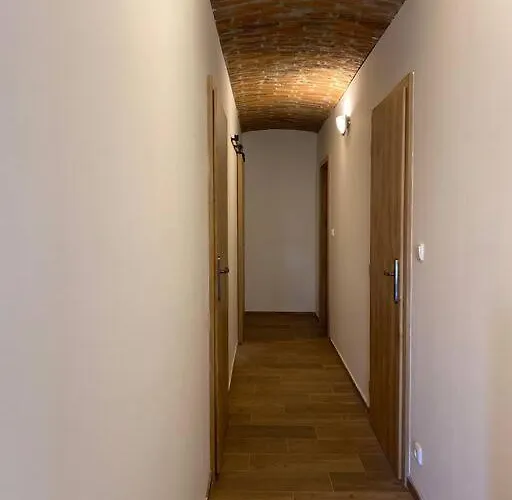 Mezi Kopci アパート Rudná pod Pradědem